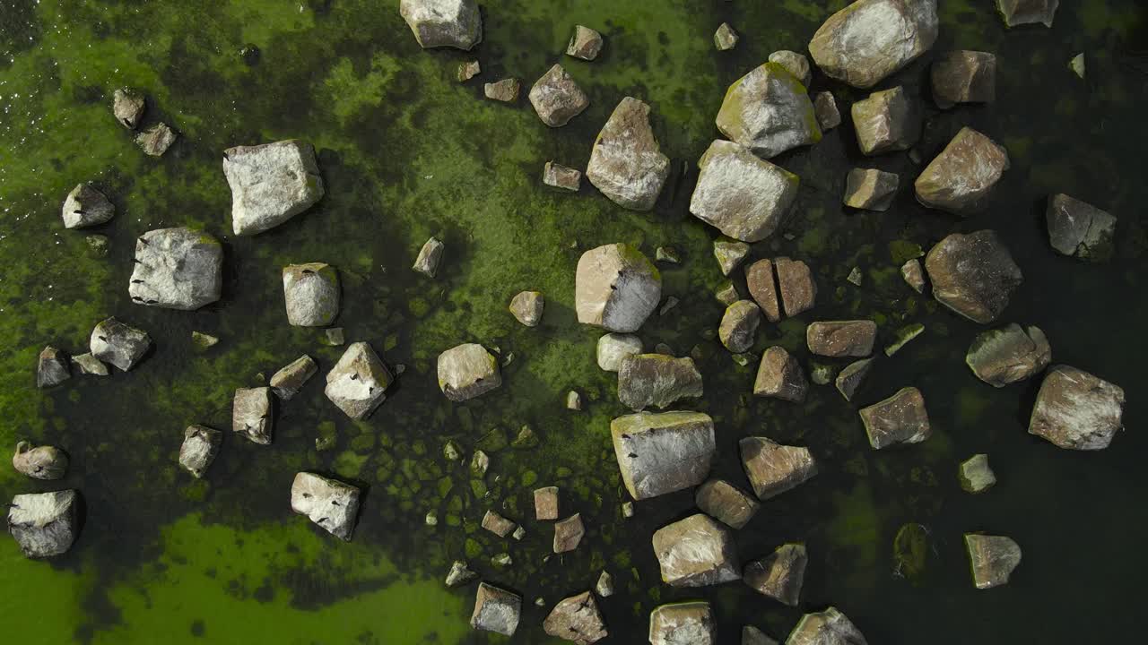 Top down aerial view of black colored Cormorants sitting and flying on large gravel rocks in green and dark colored Baltic sea ocean during day time. Shallow depth and sandy bottom visible, shoreline