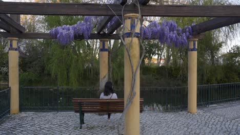 woman in tomar city center garden, in portugal