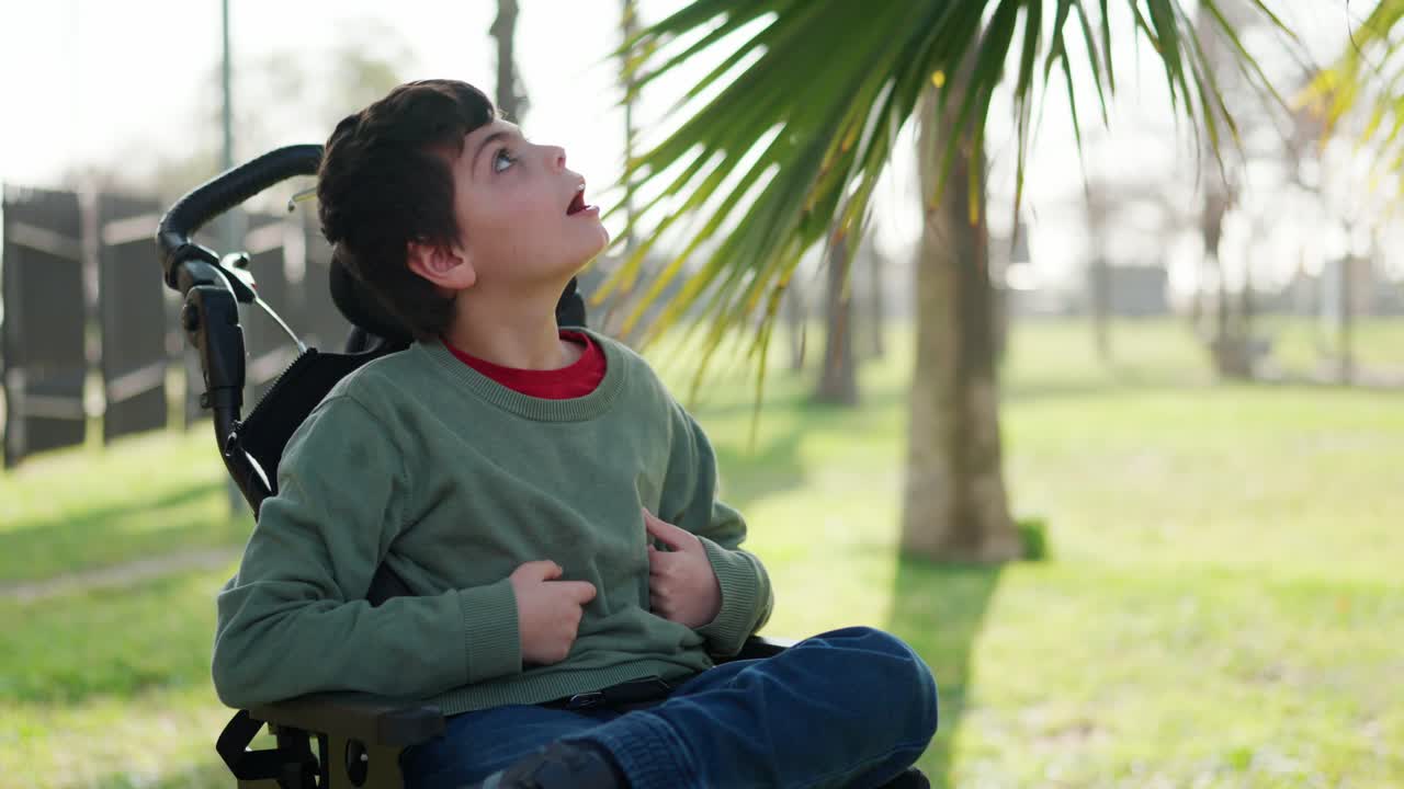 Boy in wheelchair looking at palm tree