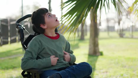 boy in wheelchair looking at palm tree