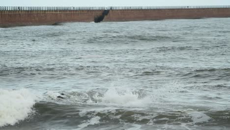 Paddling out on waves next to Roker pier