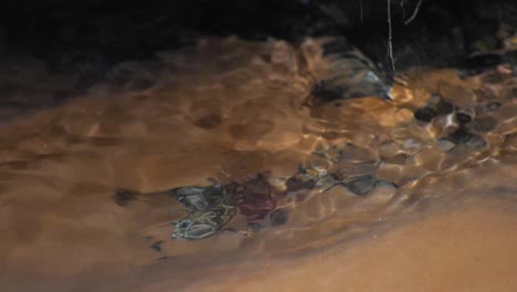 transparent spring water flows through the rocks and sand