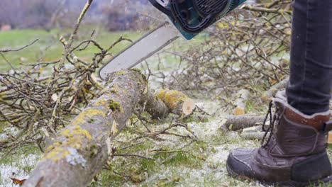 man cutting apple tree branch into smaller pieces, close up view