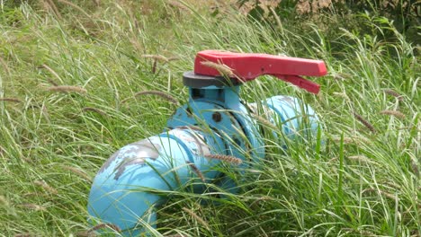 blue pipe with red lever on ground surrounded by grass