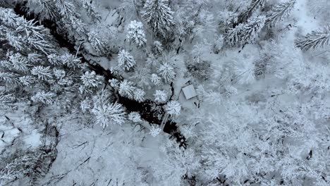 Vista-Aérea-Sobre-Una-Pequeña-Cabaña,-Un-Río-Y-Un-Puente,-En-Medio-De-Un-Bosque-Cubierto-De-Nieve,-En-Un-Día-De-Invierno-Oscuro-Y-Sombrío---Destornillador,-Disparo-De-Drones