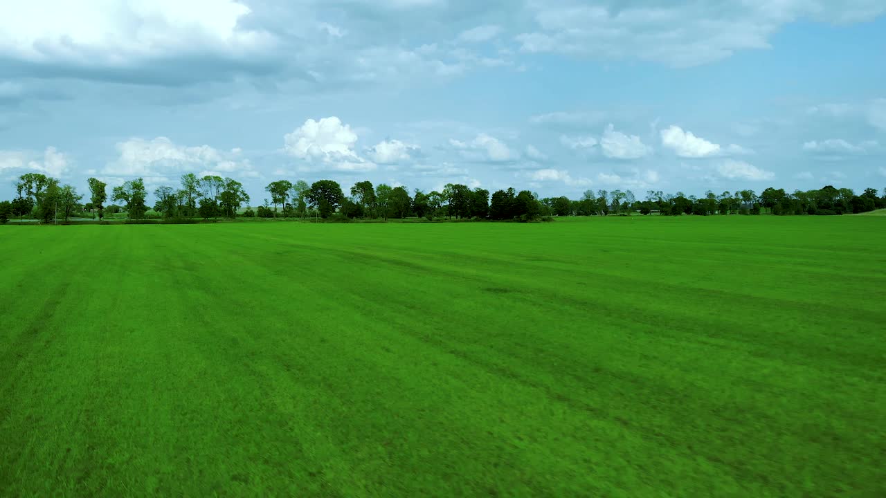 Voo sobre um gramado verde em direção a árvores que margeiam a estrada, céu azul e nuvens brancas, imagens aéreas