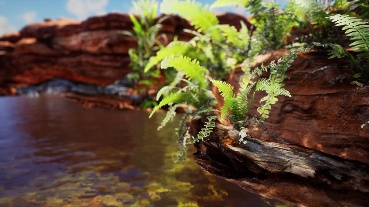 estanque dorado tropical con rocas y plantas verdes