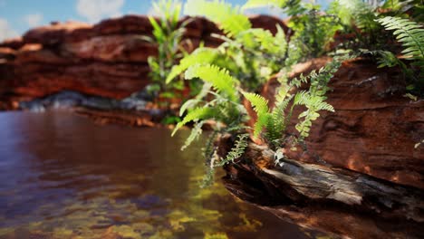 estanque dorado tropical con rocas y plantas verdes