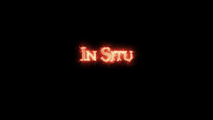 In situ written with fire. Loop