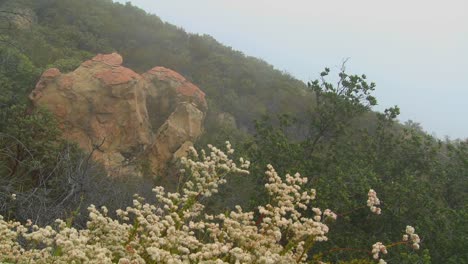 Fog-blows-over-a-mountain-along-the-coast-of-California