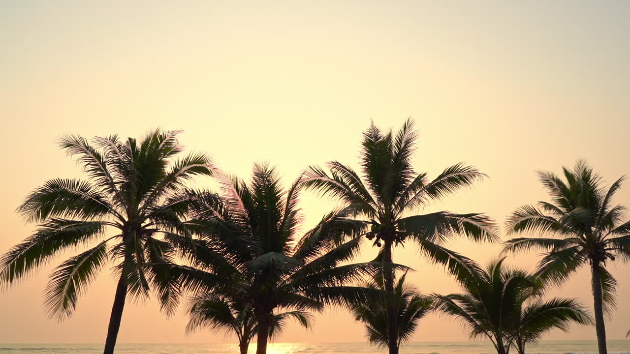Palm Trees Silhouette At Sunset beach