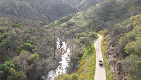 camioneta negra conduciendo junto a un río con flores silvestres en las montañas en un camino de tierra