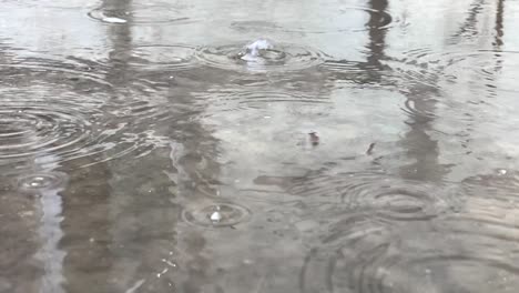 Rain-drops-in-slow-motion