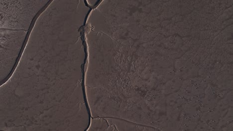 Flock-of-birds-flying-over-wetlands-with-deep-narrow-river,-high-altitude-top-down-shot