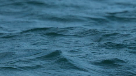 Captivating close-up of the ocean&#039;s rhythmic waves, reflecting the dance of nature&#039;s vast and tranquil marine expanse