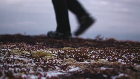 a tourist walks through the wild places of norway