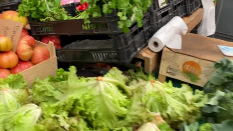 Fresh-vegetables-on-the-Counter-in-the-Store