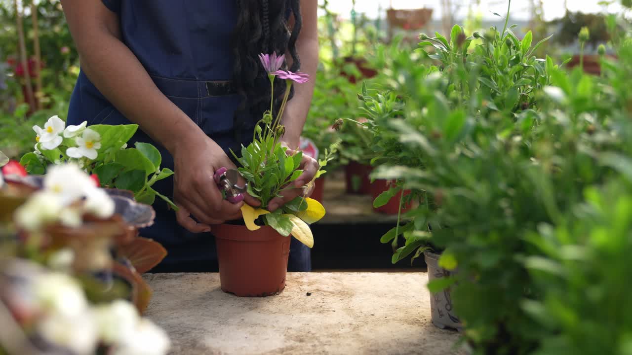 Mulher cuidando de flores e plantas em uma estufa