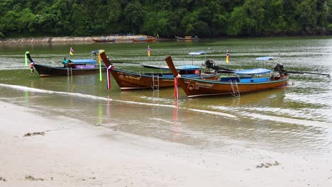 longtail boats at a tropical beach