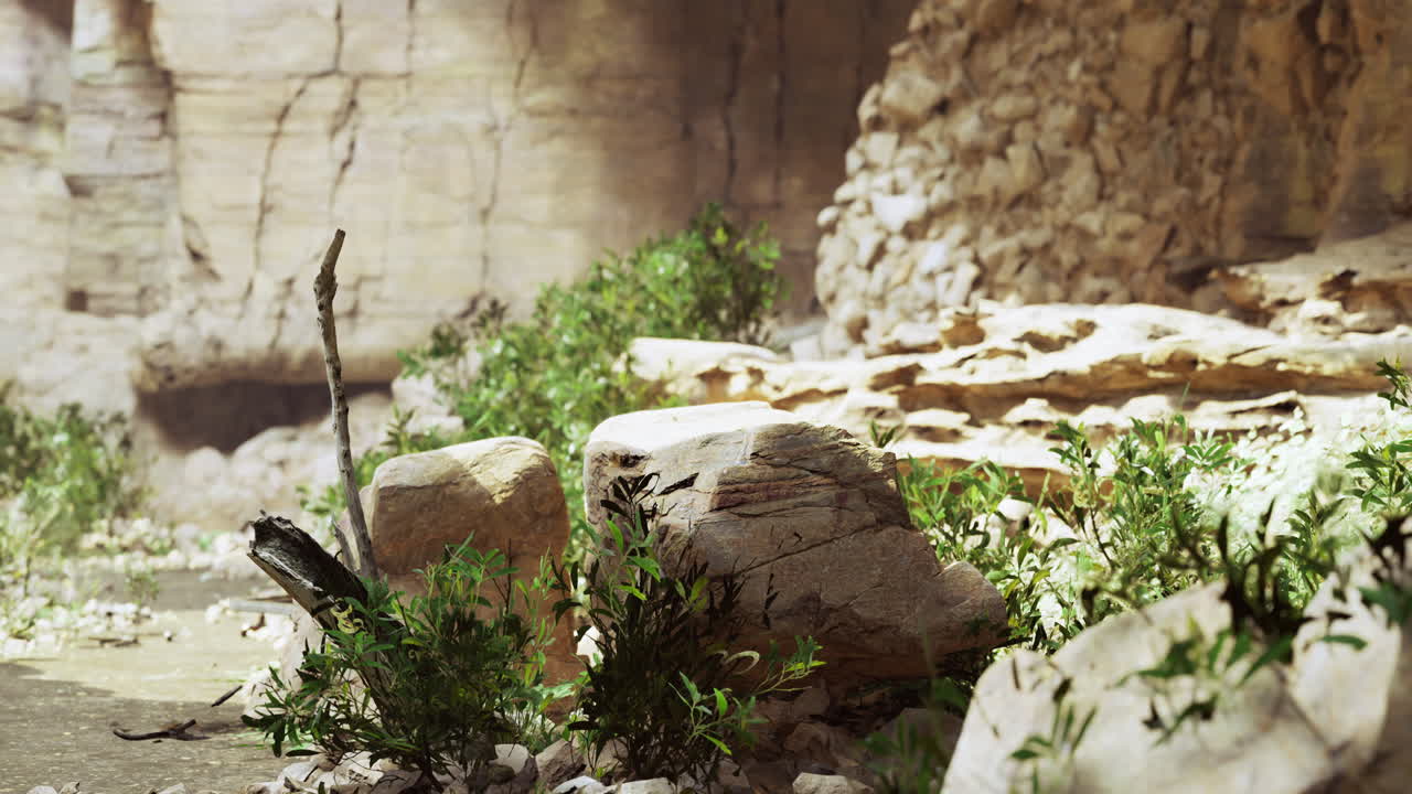 Lush vegetation thriving among rocky terrain in a serene landscape