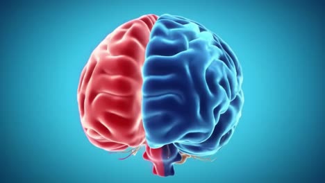 The Human Brain: A Colorful Exploration of Its Complex Structures and Functions from Different Angles and Perspectives Within a Video Sequence