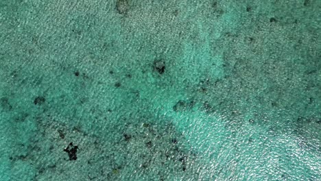 Imágenes-De-Drones-Volando-Lentamente-Sobre-La-Superficie-Ondulada-De-Un-Océano-Azul-Tropical-Sobre-Un-Arrecife-De-Coral-En-El-Caribe