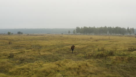 documentarist holding a camera walking over a misty moorland,czechia