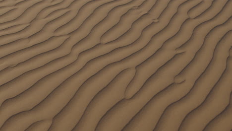 patrón de onda en la superficie de la duna del desierto