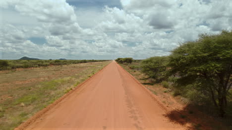 african savanna dirt road