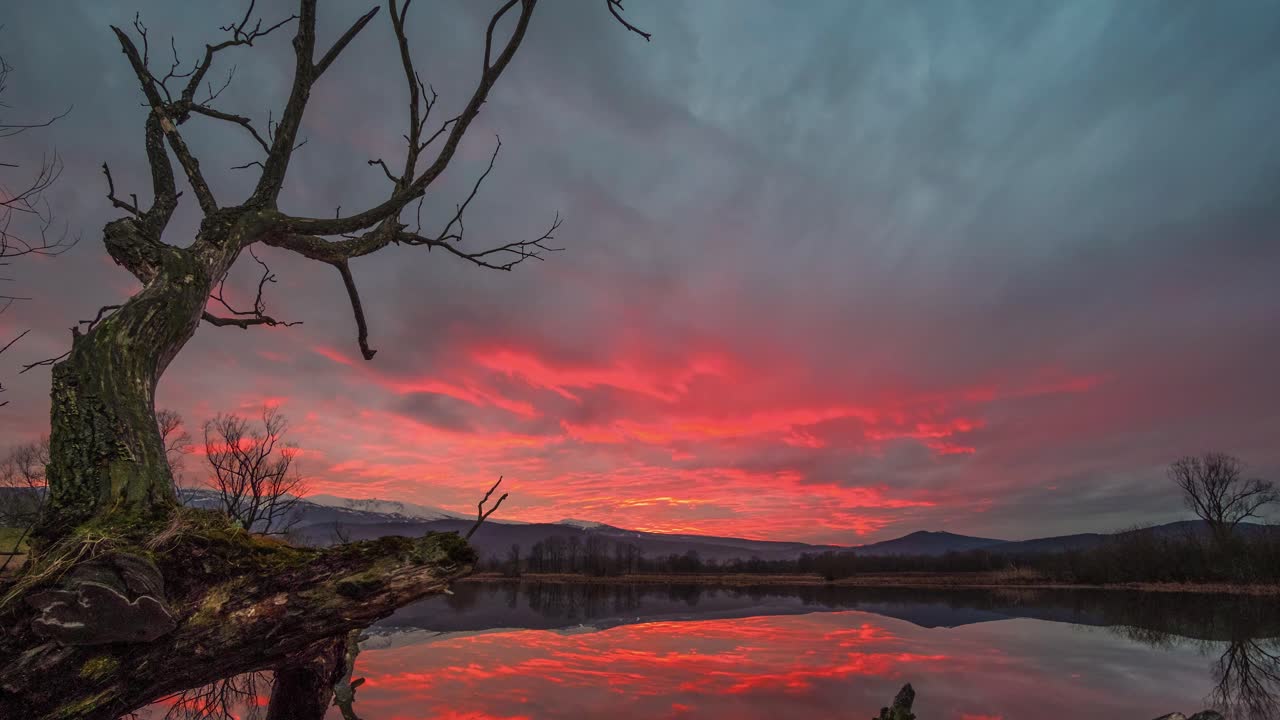 Timelapse of a red sunset reflected on the lake with a dead tree in the foreground and surrounded by Karkonosze Mountains in Poland