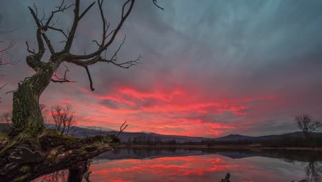 Timelapse-De-Una-Puesta-De-Sol-Roja-Reflejada-En-El-Lago-Con-Un-árbol-Muerto-En-Primer-Plano-Y-Rodeado-De-Montañas-Karkonosze-En-Polonia