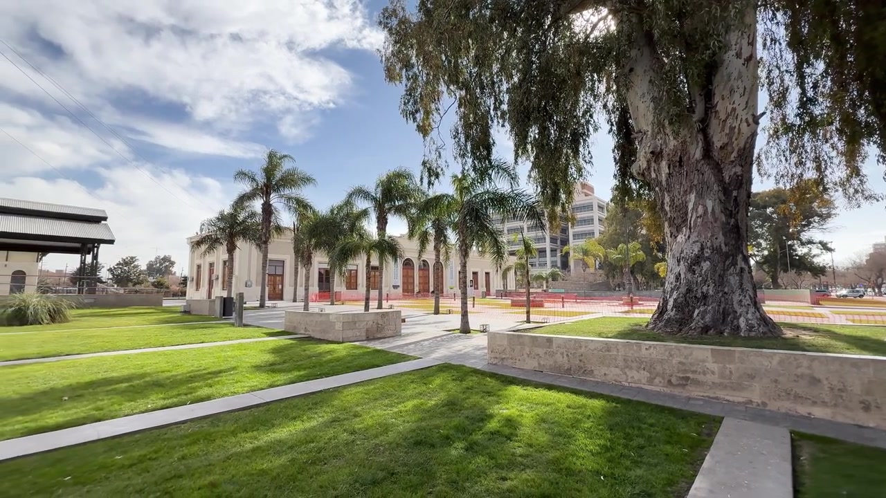 Plaza del Bicentenario a San Juan, Argentina, mette in risalto viali fiancheggiati da palme, edifici storici, prati curati e alberi suggestivi sotto la luce naturale del giorno.