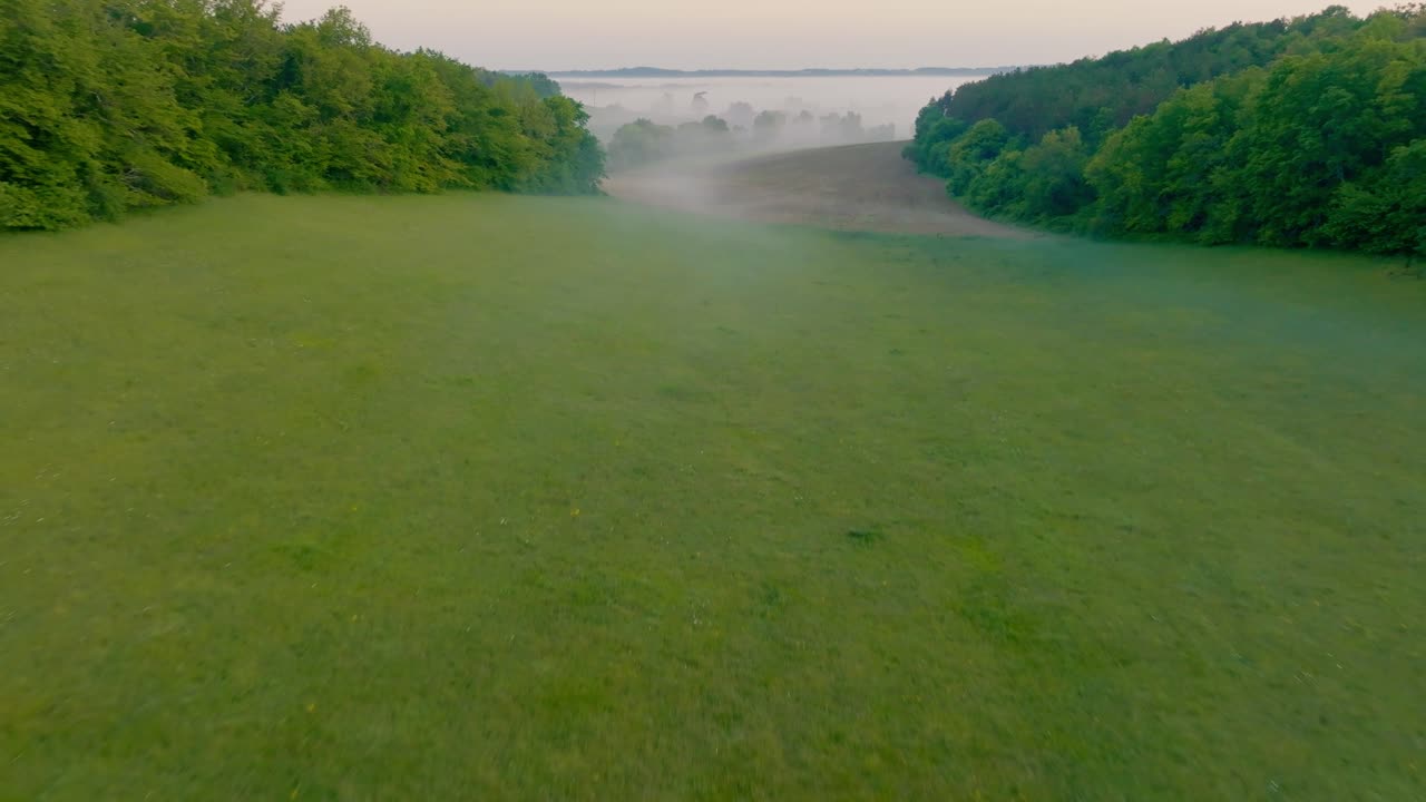 Wide green field, soft mist, peaceful, fresh, green
