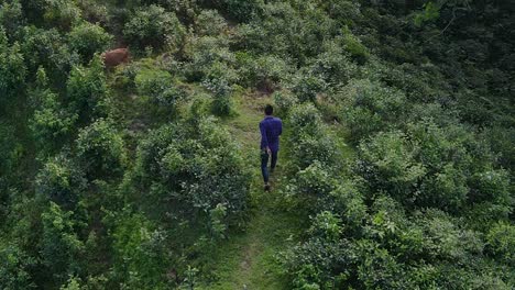 一個孤獨的旅行者在khadimnagar的山頂徒步旅行, 感覺悲傷