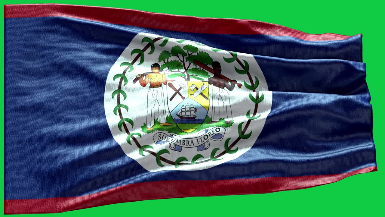 4k 매우 상세한 벨리즈의 발 - 벨리즈 발 높은 세부 사항 - 국가 발 벨리즈 파동 패턴 loopable 요소