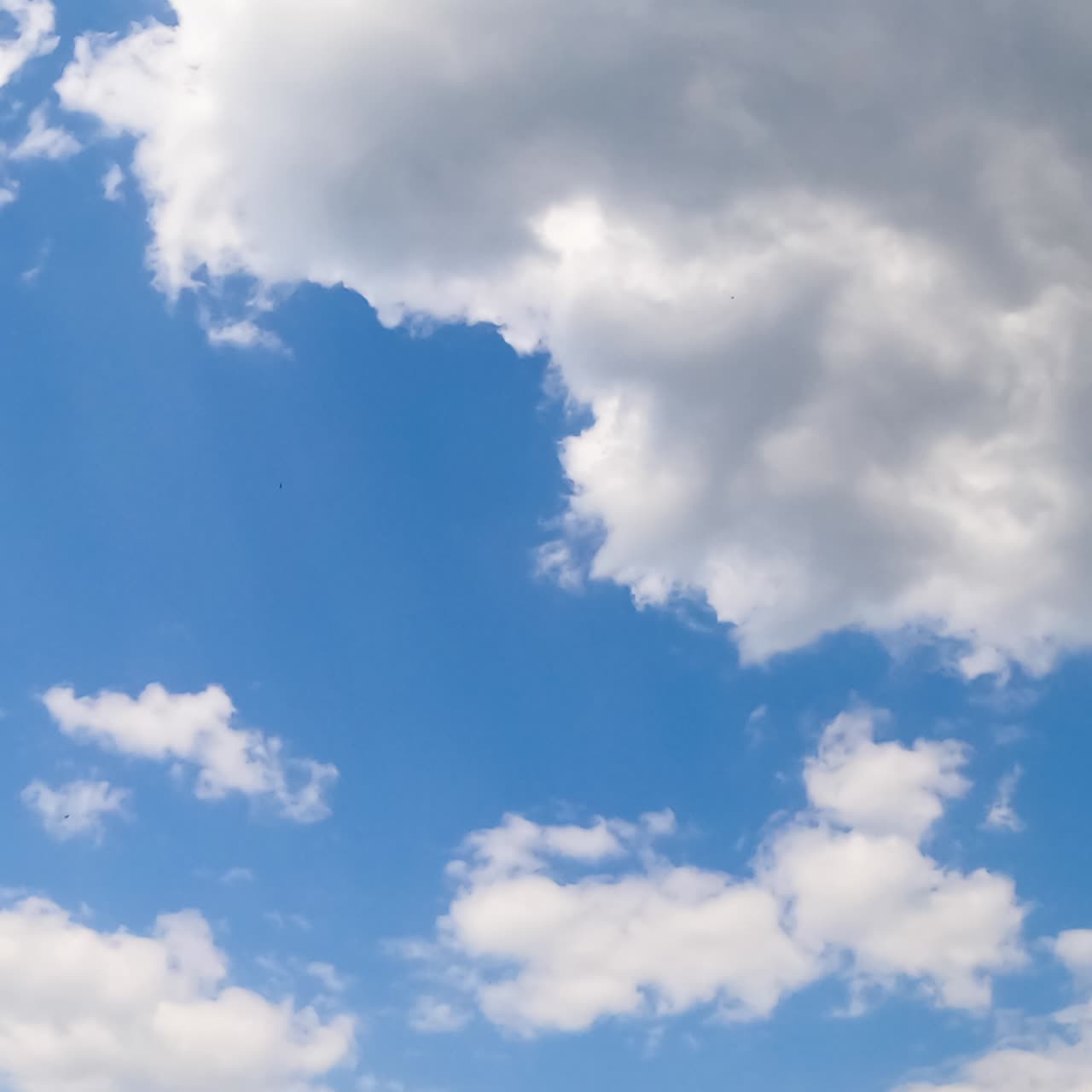 White soft clouds transforming into grey ones. Summer sky with cloudscape from low angle view. Timelapse