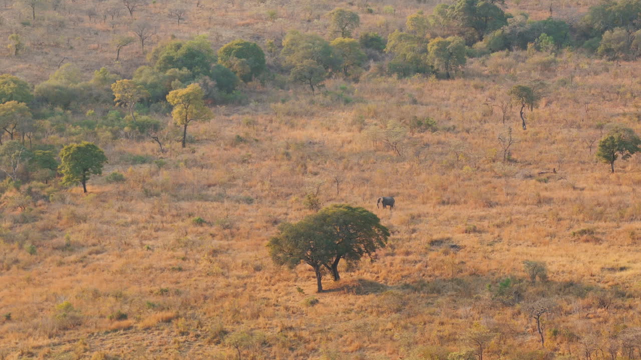 A panoramic aerial view showing the rugged terrain and fading horizon of Kruger during golden hour