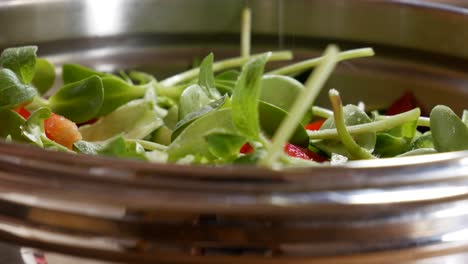 adding pinch of salt into freshly prepared salad bowl, homemade kitchen