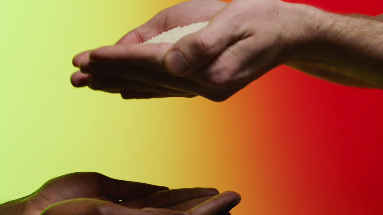 compartición de arroz