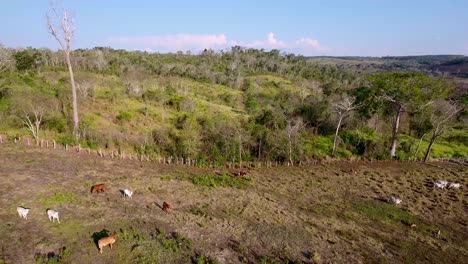 Aerial-over-Guatemala-ranches-farms-and-fields-1