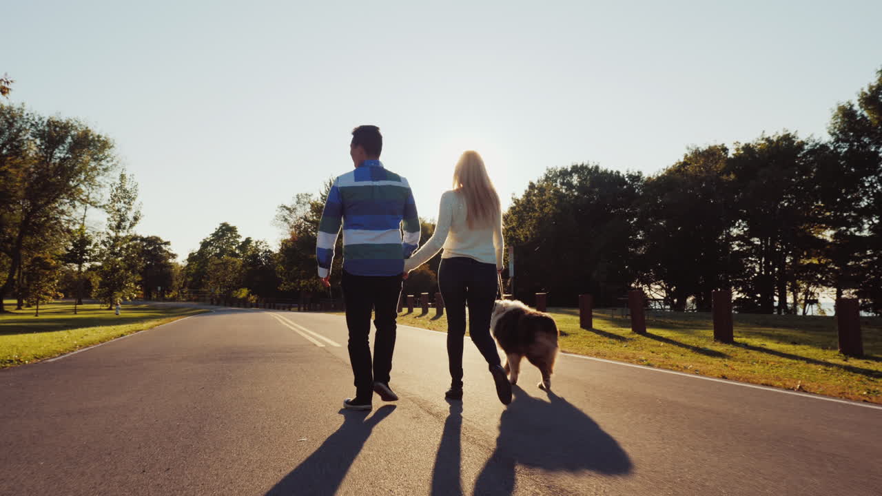 pareja paseando a un perro en un parque