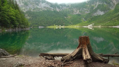 Pequeño-Cobertizo-Cerca-Del-Lago-En-La-Región-De-Gosausee-Con-Tronco-De-árbol-En-Primer-Plano