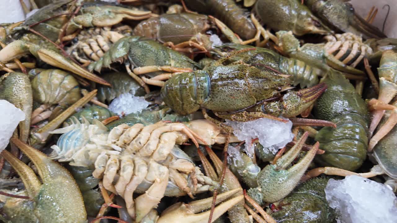 Fresh Crayfish on Ice