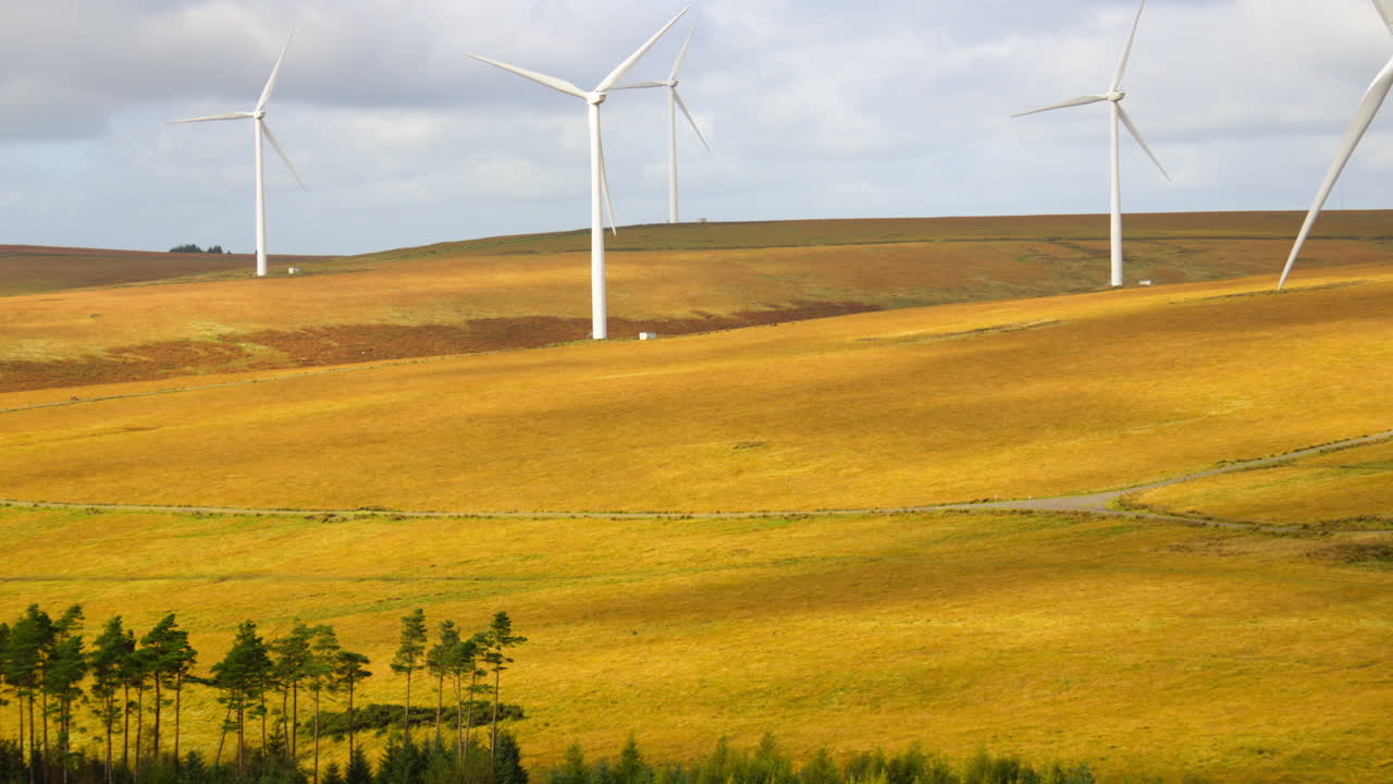 Slow Panning Down Timelapse of Multiple Wind Turbines on Green Energy Farm on Open Moorland with Pine Trees Below Creating Concept in Clean Electricity Generation. Nature and Industry in Wales, UK