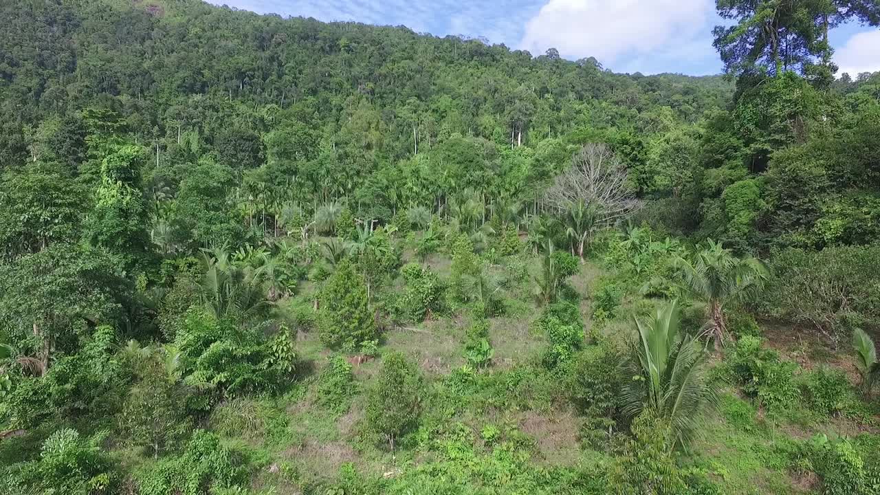 Koh Chang, Thailandia, vista aerea ascendente che domina la vegetazione della foresta pluviale tropicale