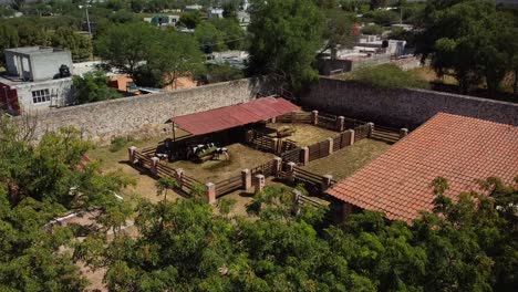 Aerial-shot-of-a-barn-with-Holstein-cows-feeding