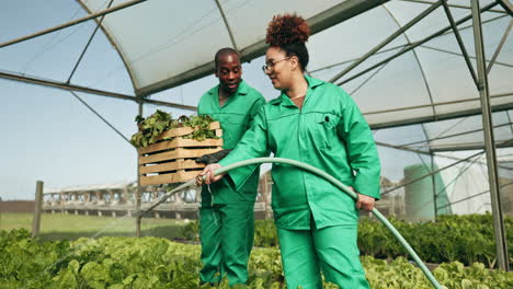 woman, man and hose to water in greenhouse