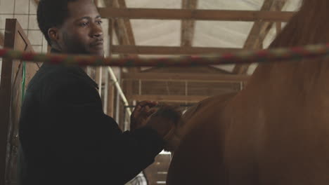 man brushing a horse at a stable