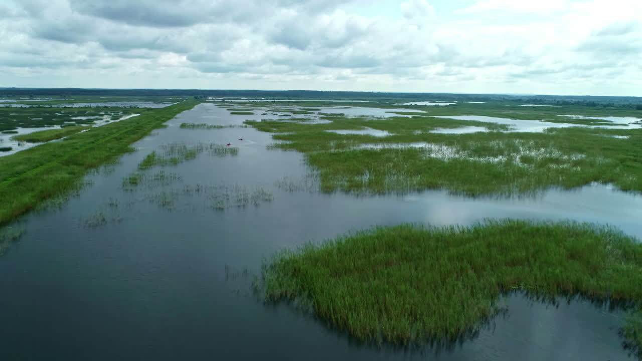 humedal con hierbas exuberantes bajo el cielo nublado