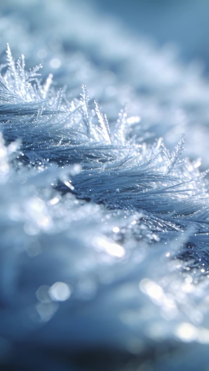Video verticale: Telecamera in movimento che rivela una cresta fibrosa ghiacciata in macro, mostrando cristalli aghiformi.